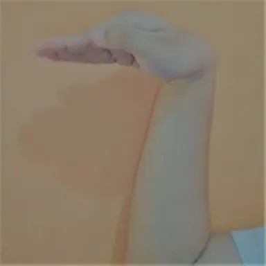 Isyarat BISINDO untuk Z